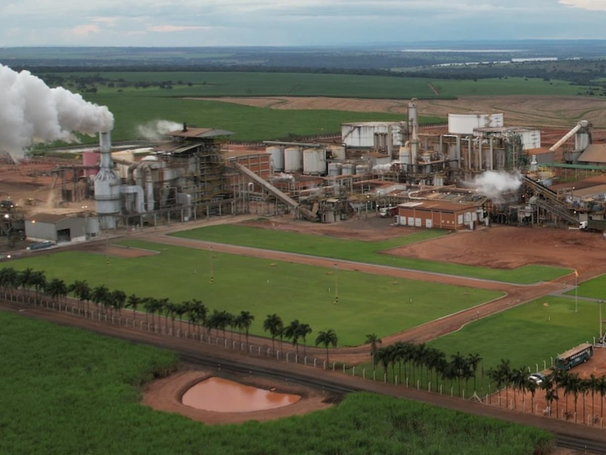 BNDES aprova R$ 480 mi para Companhia Mineira de Açúcar e Álcool expandir produção