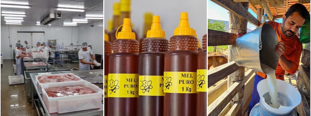 Selos de inspeção dos produtos de origem animal garantem segurança dos alimentos