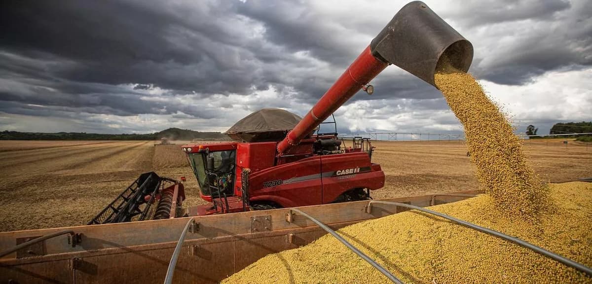 Onda de calor na Argentina danificará safras antes da próxima chuva, diz especialista