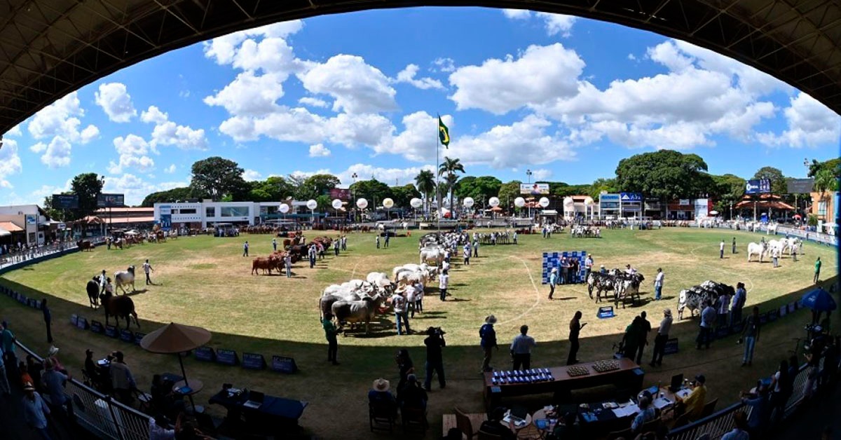 Inscrições para ExpoZebu começam em janeiro