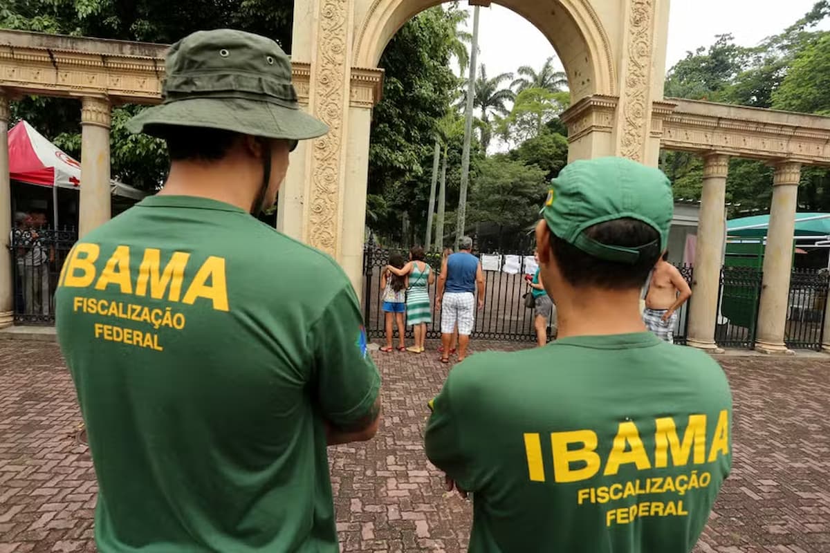 Concurso do Ibama oferece 460 vagas e salários de quase R$ 10 mil