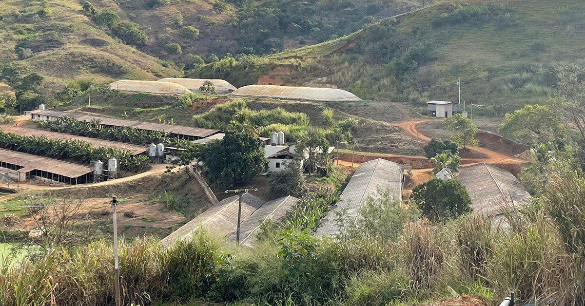 Frigorífico O Cortês produzirá carne suína premium e sustentável em Minas
