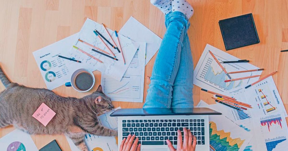 Confiança nas habilidades para avançar ao próximo nível profissional chega a 24% 