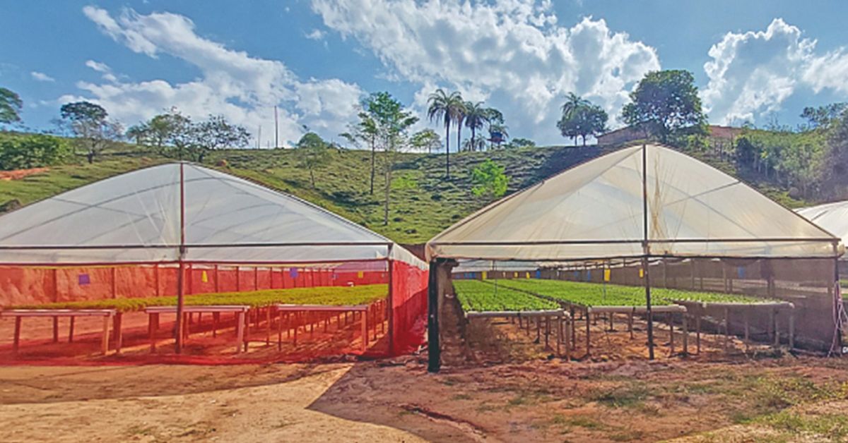 Programa Fomento Agro repassou mais de 35 mil itens para produtores rurais de Brumadinho