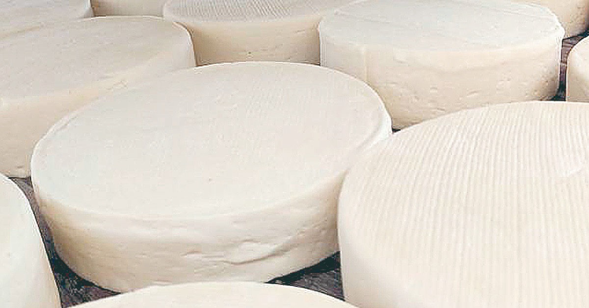 Estudo inédito vai mapear o ‘DNA’ do Queijo Minas Artesanal do Serro