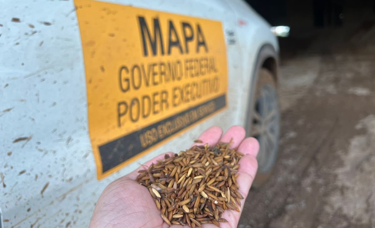 Convênio entre Mapa e Rio Grande do Sul prevê repasse de  R$ 21 milhões para fortalecer a defesa agropecuária do Estado