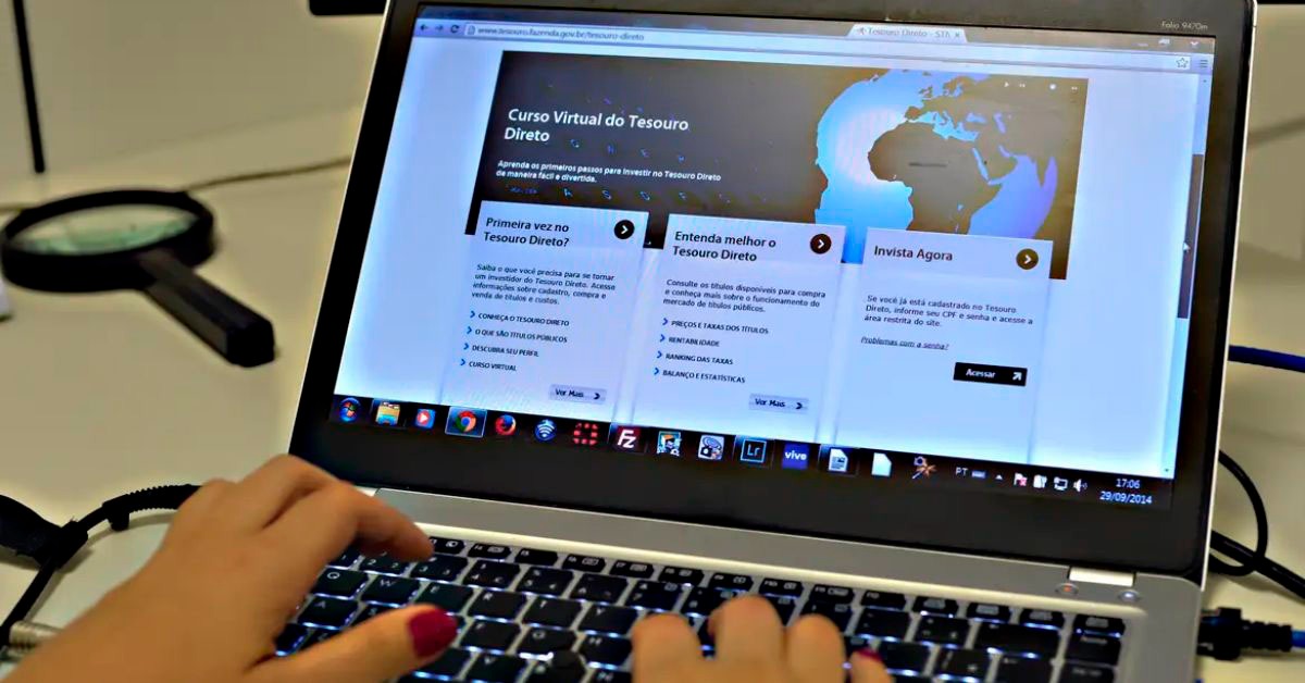Vendas do Tesouro Direto fecham 2024 com alta de 45,6%