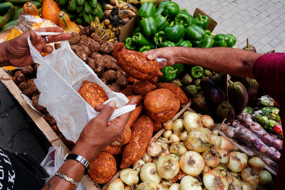 Preços mundiais de alimentos caem em janeiro, puxados por açúcar e óleos vegetais