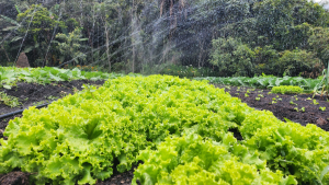 Inscrições abertas para a Jornada Exportadora Cooperar para Exportar