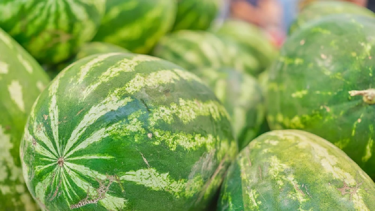 Melancia foi a fruta que registrou o maior aumento em BH, com uma alta de 37% no preço 