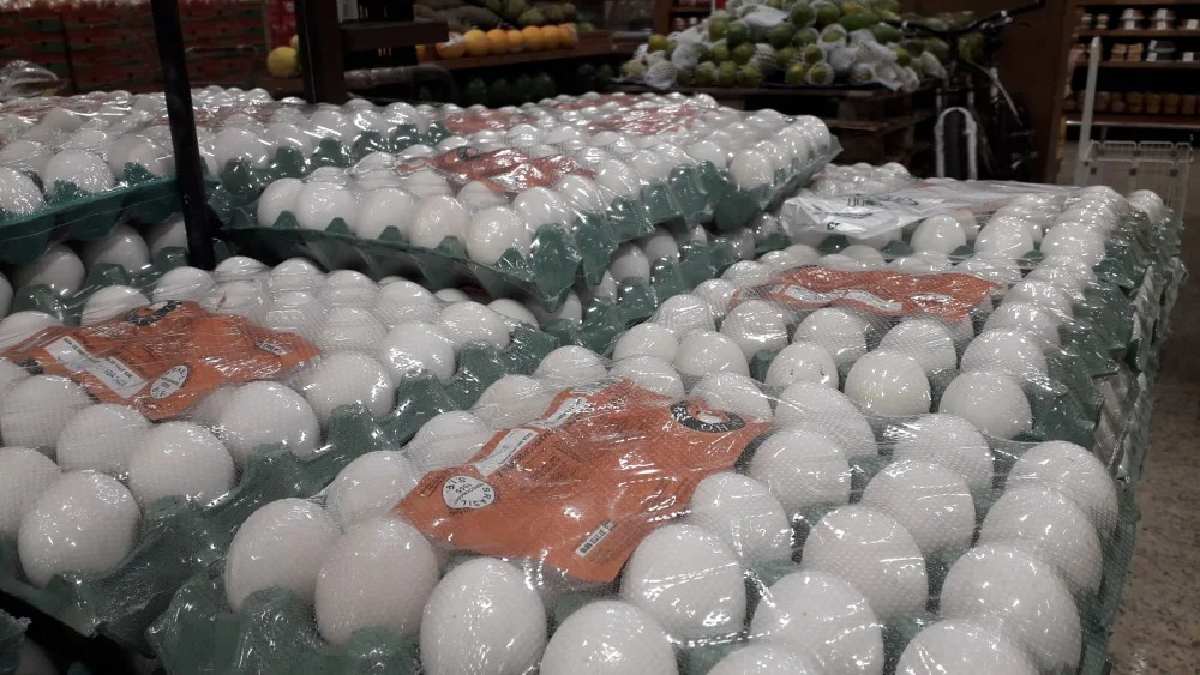 Preço dos ovos dispara na Grande BH, com alta de até 61% em um ano, aponta pesquisa  