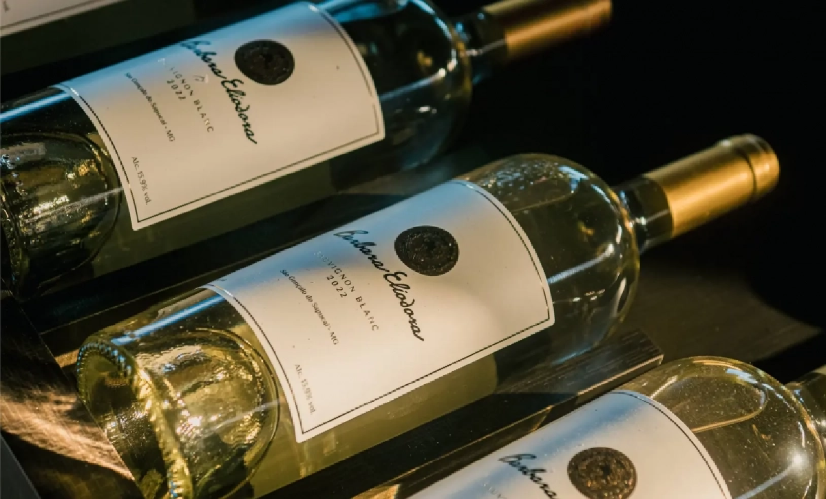 Vinhos de inverno do Sul de Minas são a nova indicação geográfica do País