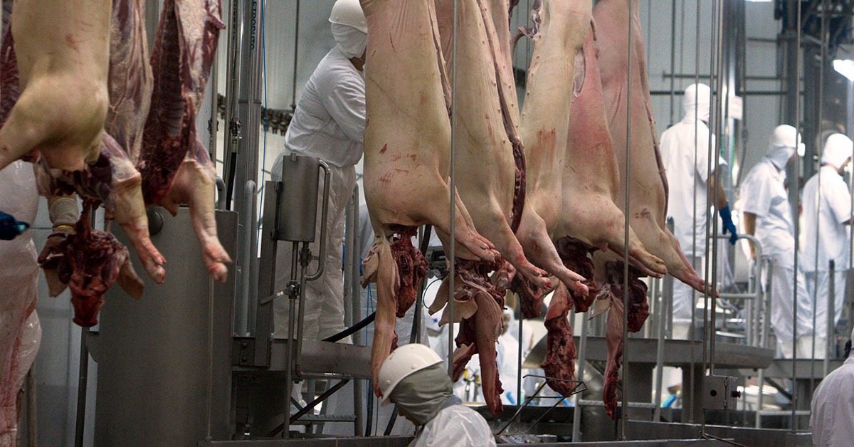 Exportações brasileiras de carne suína ultrapassam 100 mil toneladas em janeiro