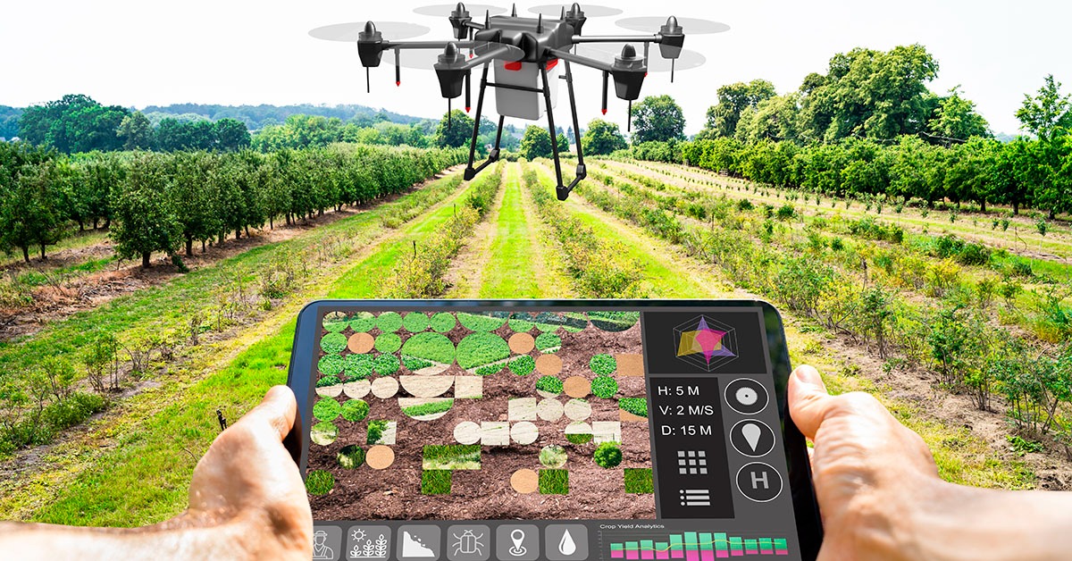 Dia do Agronegócio: avanço da tecnologia torna setor mais competitivo