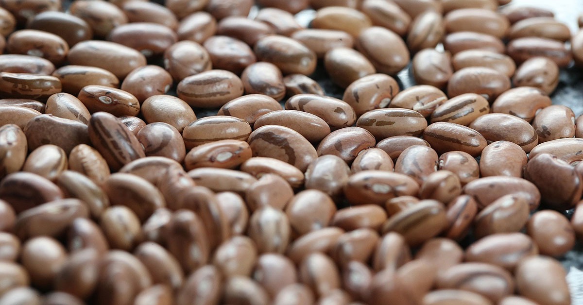 Dia Mundial do Feijão: importante item da culinária, grão enfrenta mercado desafiador