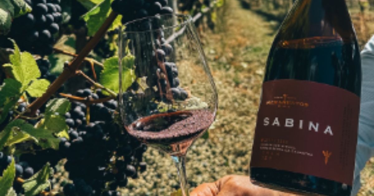 Vinho de Minas Gerais conquista título de melhor tinto brasileiro em concurso internacional