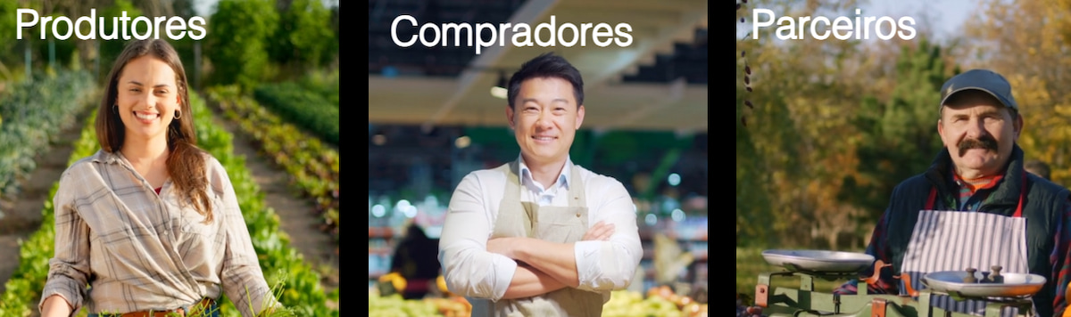 Plataforma Ceasa Digital vai simplificar negociações dos produtores de hortifrutigranjeiros