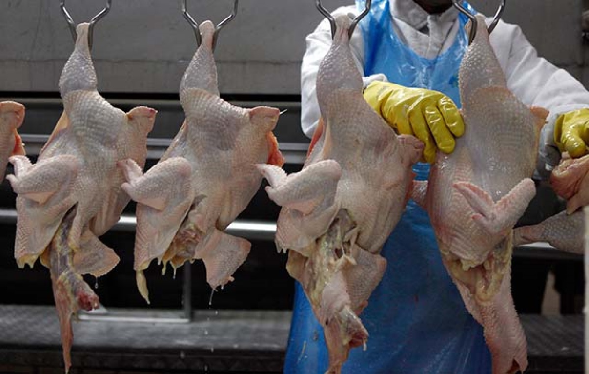 Alta demanda por frango faz preço da carne subir em Belo Horizonte