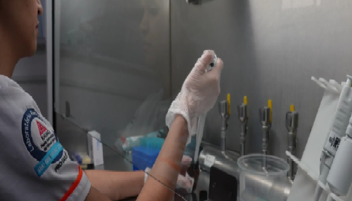 Em nova fase, Projeto Queijo Minas Legal já garantiu habilitação sanitária a 88 queijarias no Estado 