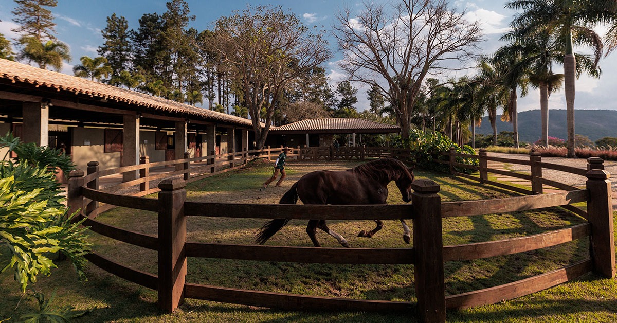Condomínios equestres ganham força no mercado imobiliário