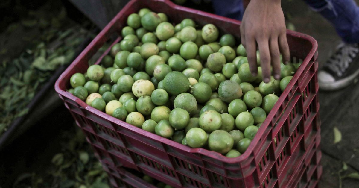 Setor de frutas do Brasil vê potencial de expandir exportação