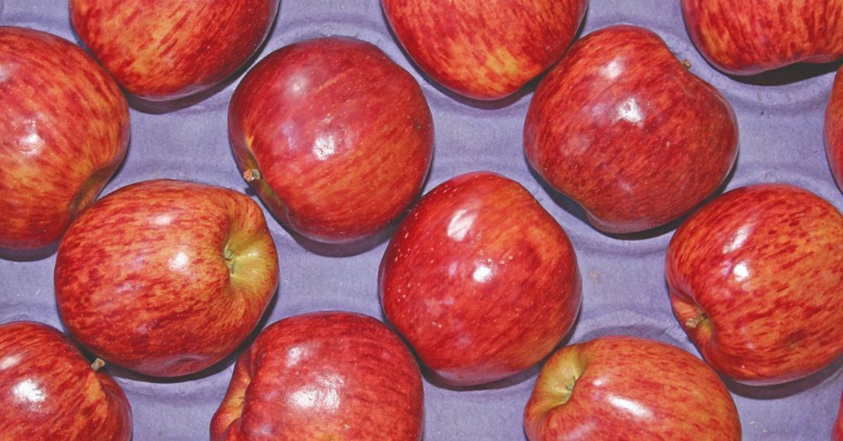 Frutas e hortaliças ficam mais baratas em Belo Horizonte