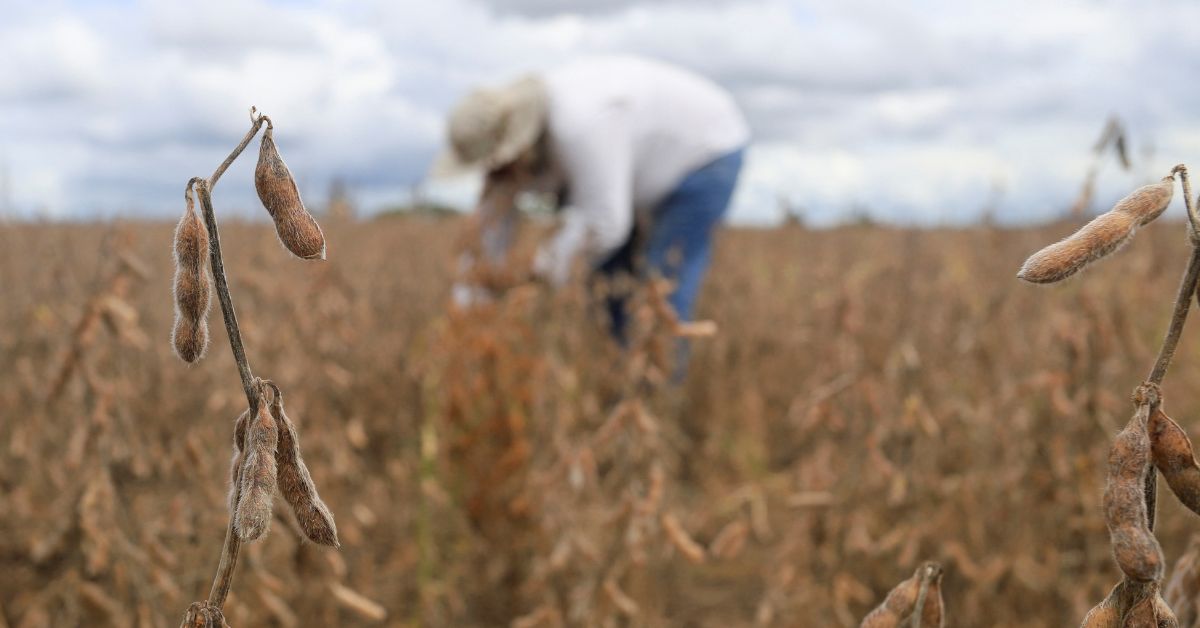 Biodiesel tem menor preço em quase 5 meses no Brasil com pressão do mercado de óleo de soja