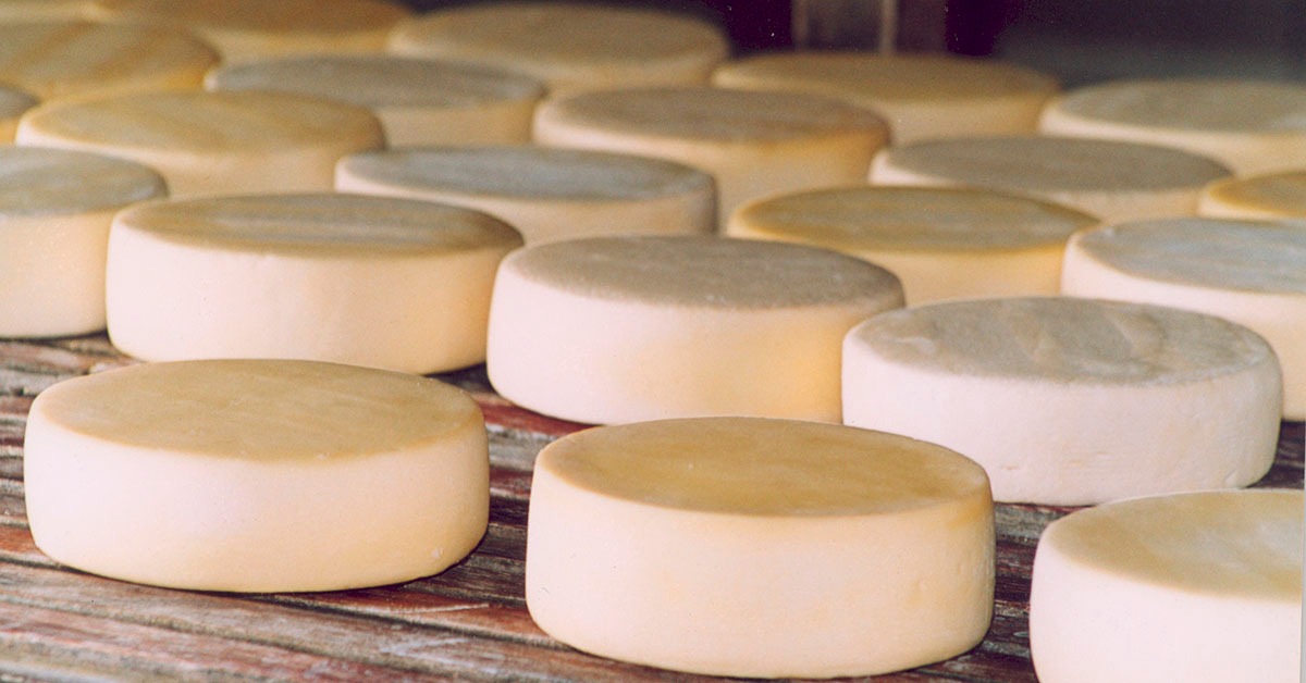 Inscrições para o Prêmio Brasil Artesanal Queijo estão abertas até 6 de maio