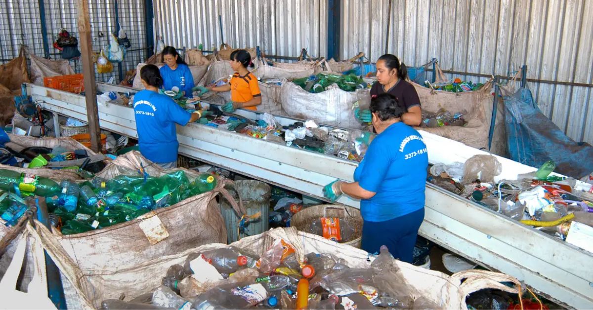 Em dois anos, País aumenta reciclagem de embalagens PET em 14%