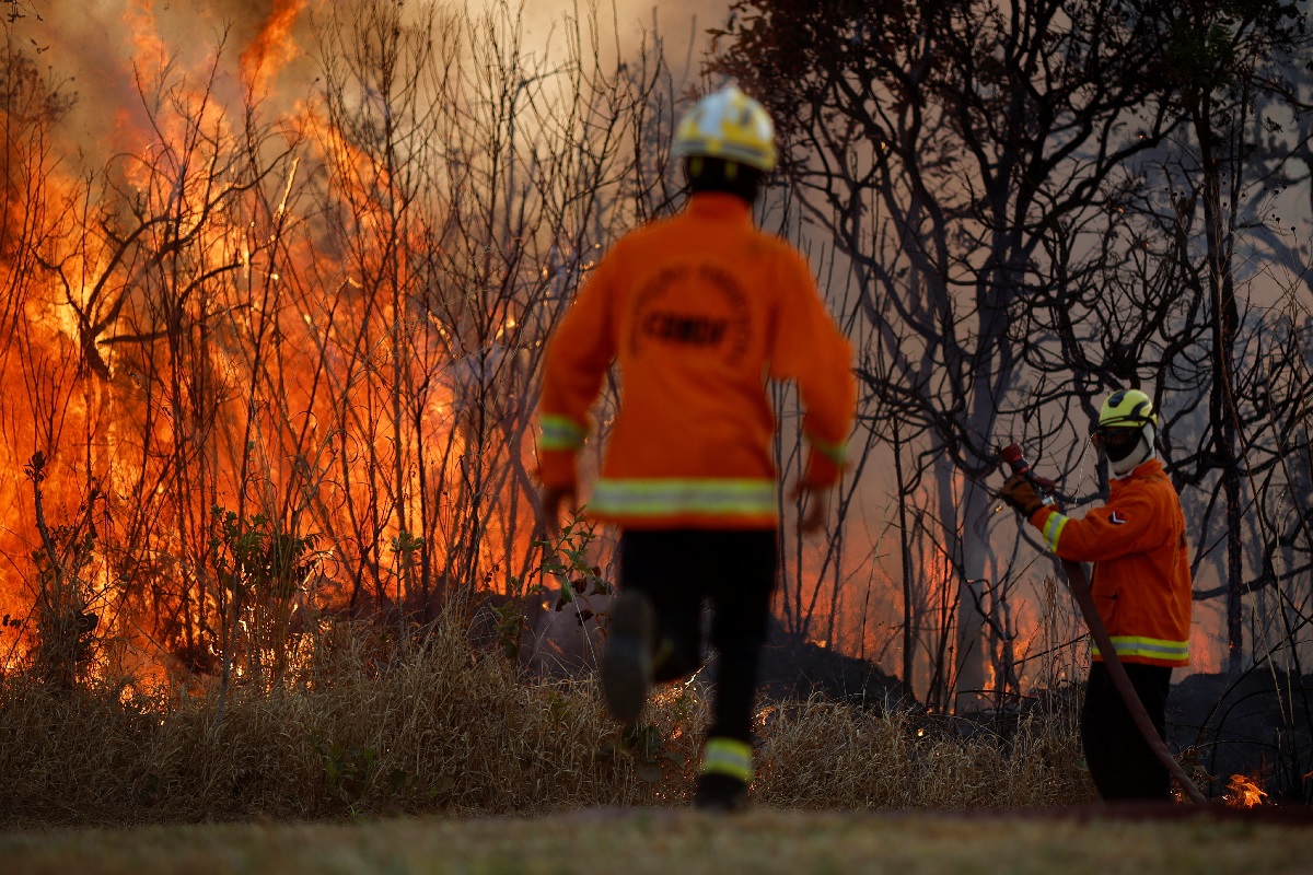 Fundação Bunge e Ibama firmam acordo para combater incêndios florestais