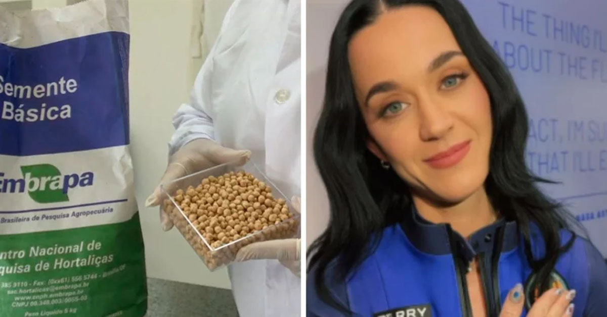 Voo espacial que levou Katy Perry tinha plantas desenvolvidas por cientistas da Embrapa