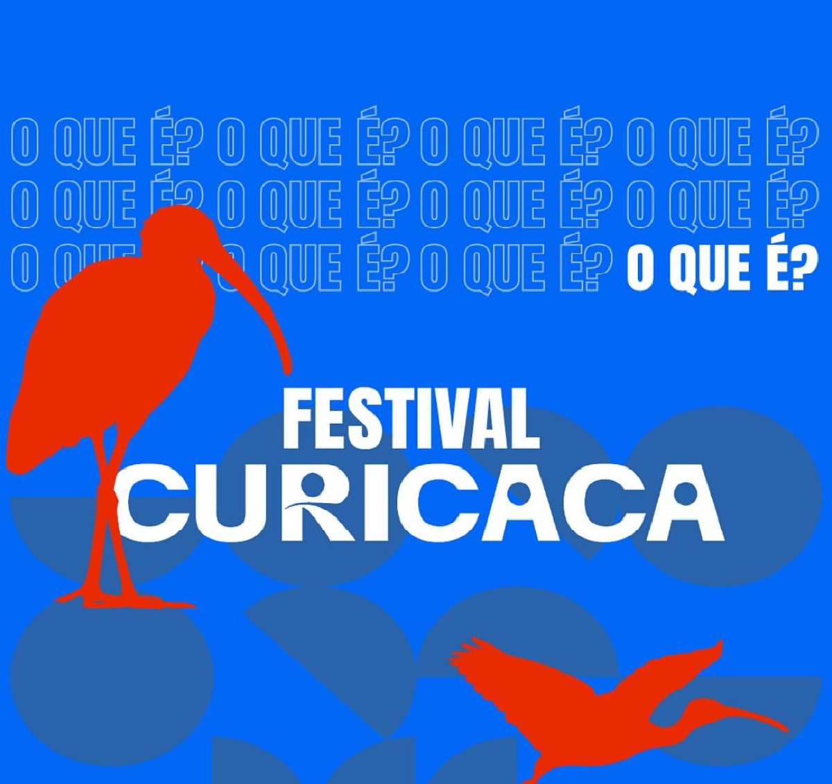 A Agência Brasileira de Desenvolvimento Industrial lança o Festival Curicaca