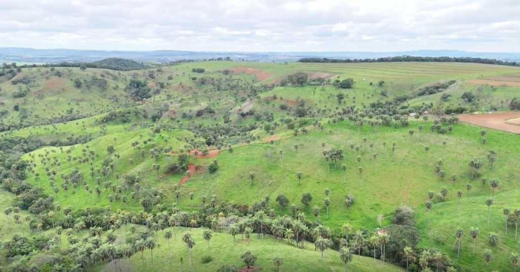 Paisagem do local onde a Resouro imagina que estará localizada a cava inicial do projeto de titânio e terras-raras
