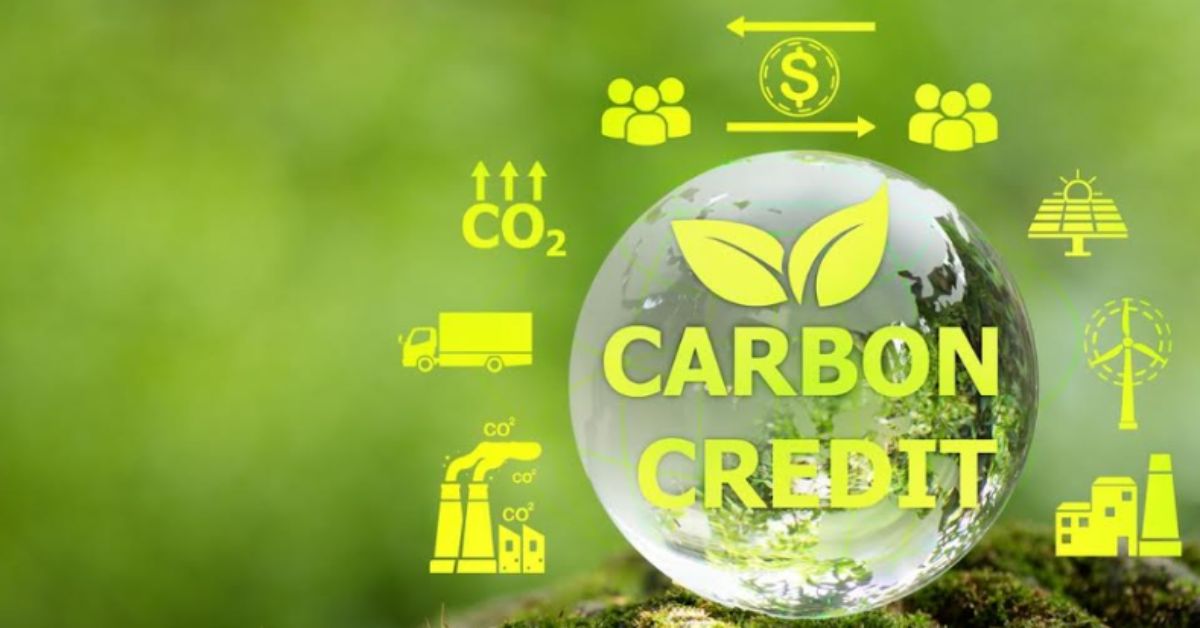 Créditos de Carbono sem dono: o impasse da titularidade da terra