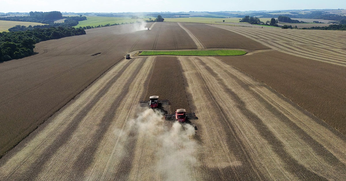 Calor extremo ameaça os sistemas de alimentos no mundo, alertam agências da ONU