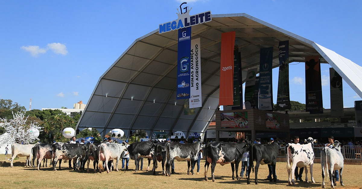 Inscrições da Megaleite 2025 estão abertas