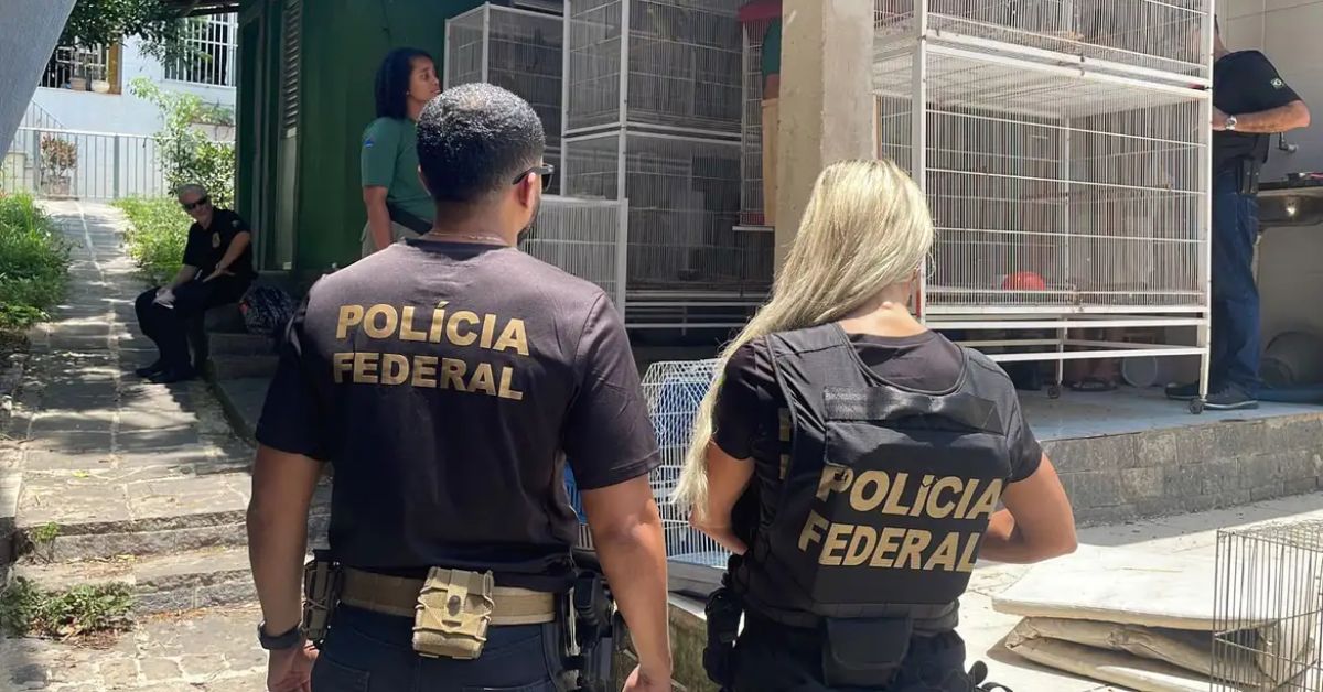PF faz operação contra desvio de R$ 15 mi em emendas parlamentares para eventos de e-sports