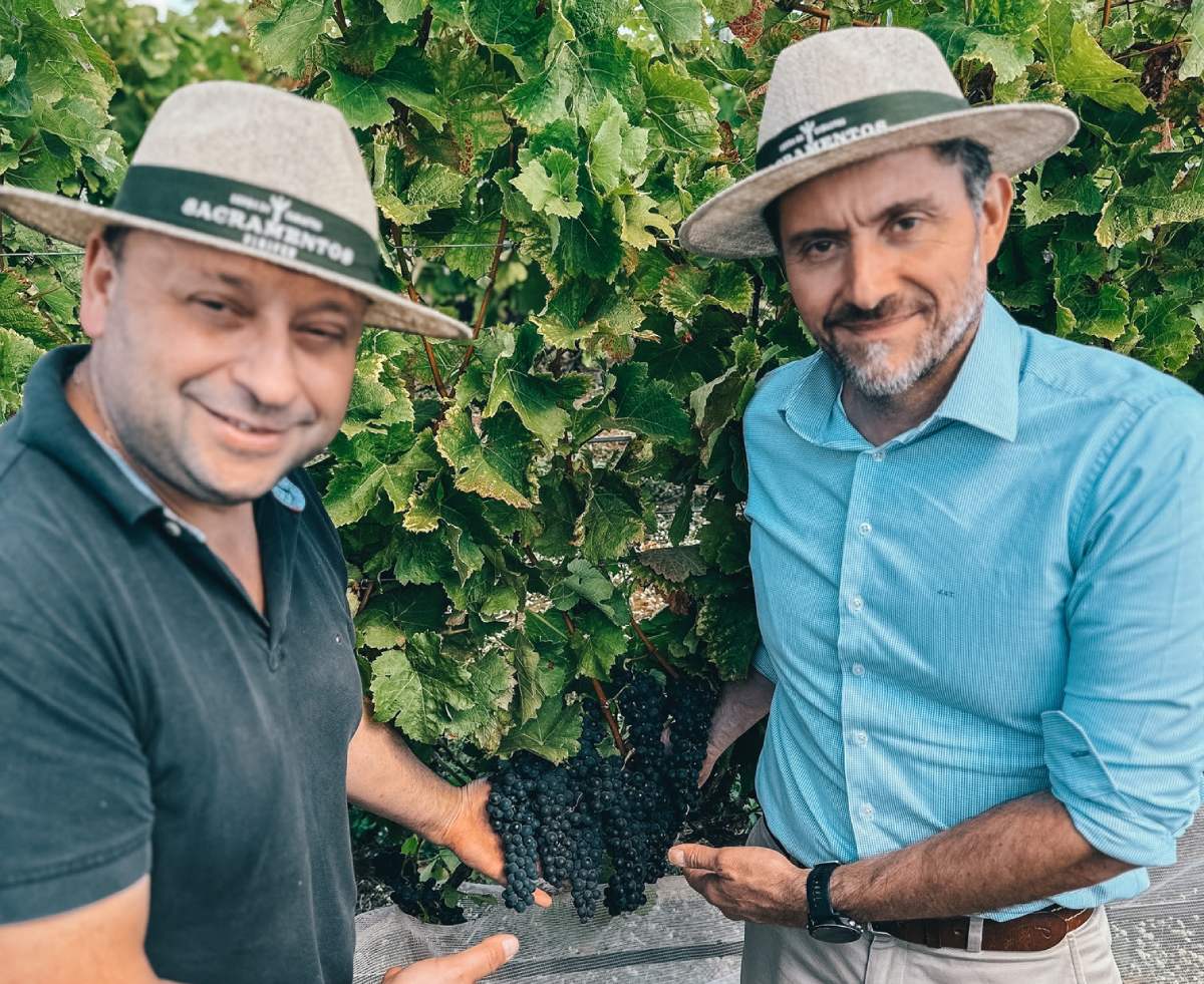 Vinícola de Minas Gerais é eleita a melhor do ano por publicação internacional 
