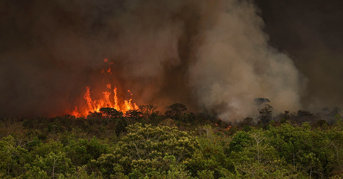 Desmatamento no Cerrado de Minas Gerais cai 34%, aponta Inpe