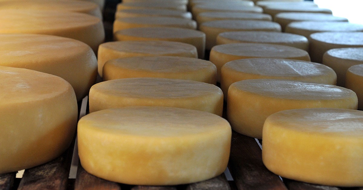 Dia do Queijo: vem aí o Festival do Queijo Artesanal de Minas