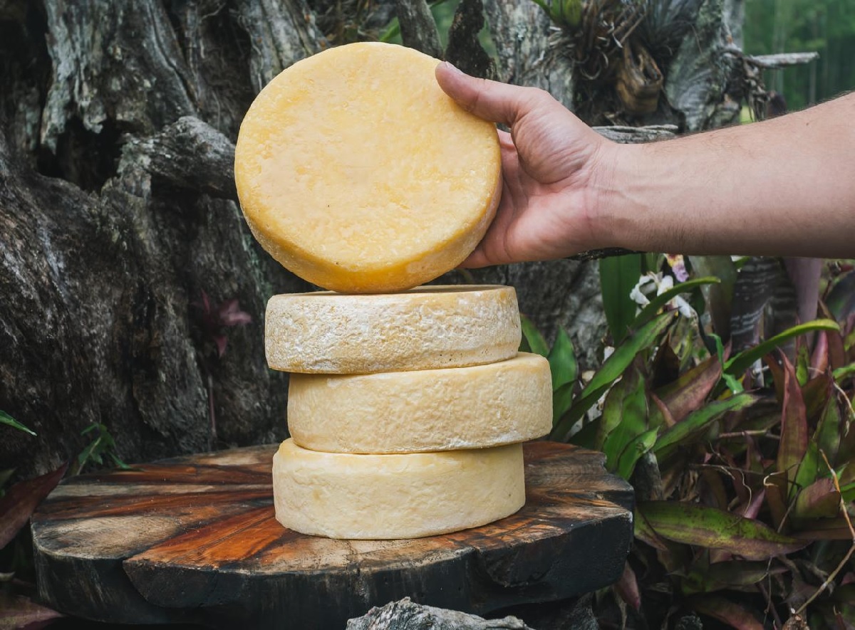 São João del-Rei recebe fórum sobre os Modos de Fazer o Queijo Minas Artesanal