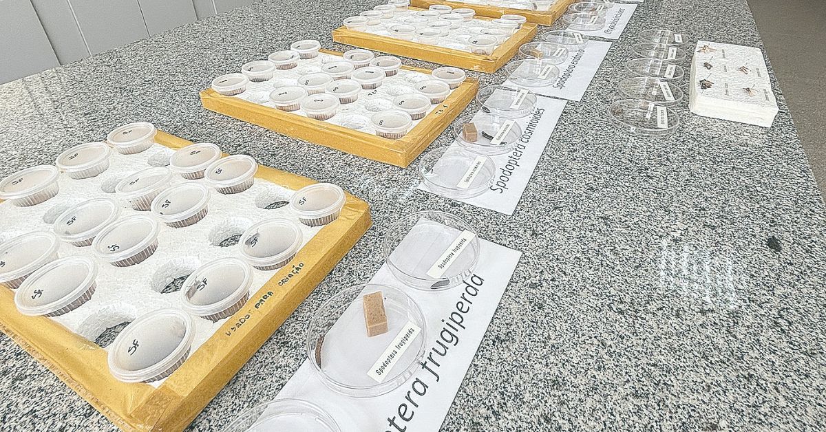 Biofábrica da Embrapa em Sete Lagoas produzirá bioinsumos contra principais pragas agrícolas