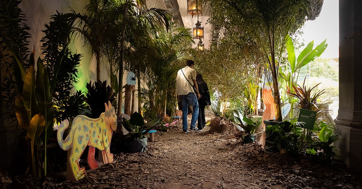 Exposição propõe ação imersiva e sensorial com uma floresta dentro de BH