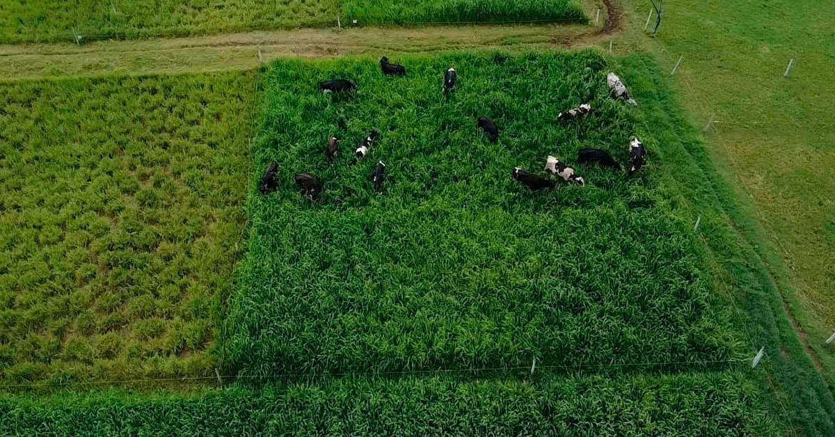 Programa de Assistência Técnica e Gerencial é considerado divisor de águas na agropecuária mineira
