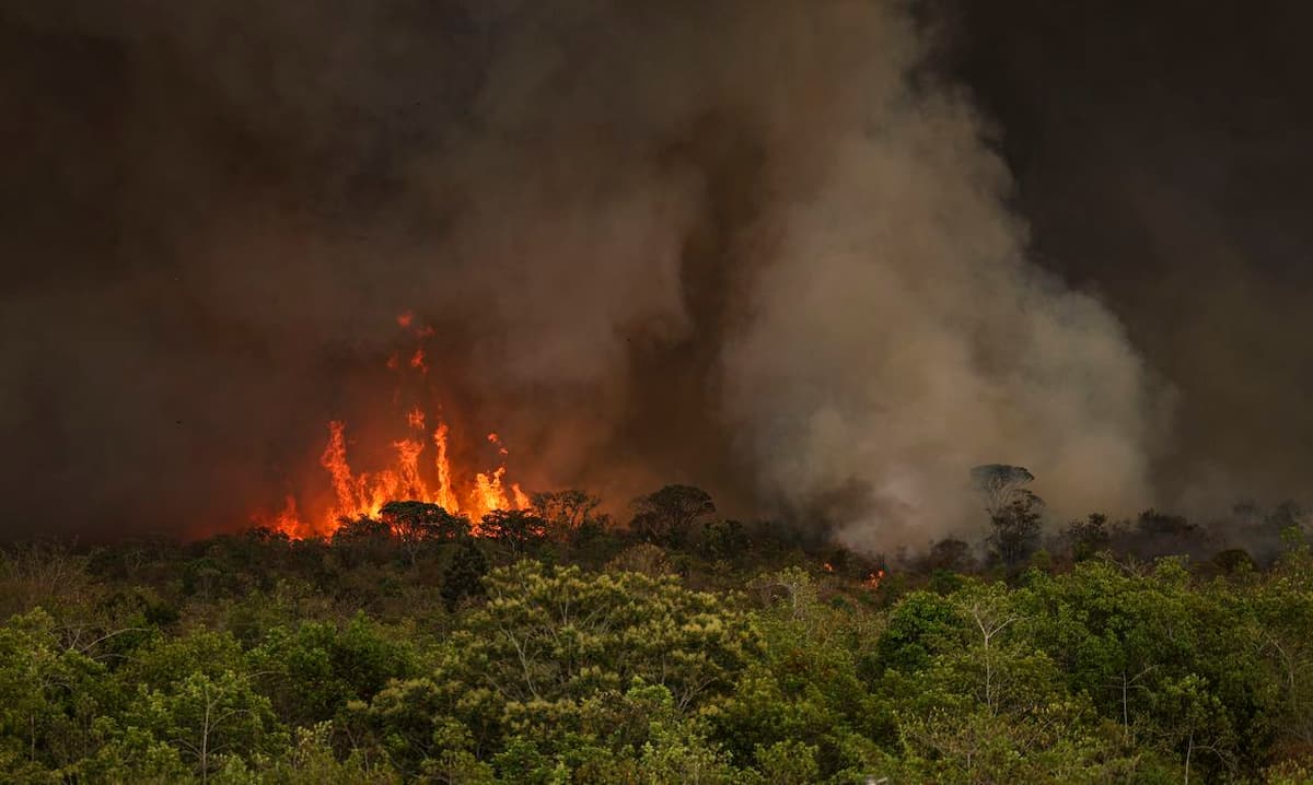Queimadas atingiram 30 milhões de hectares no País em 2024