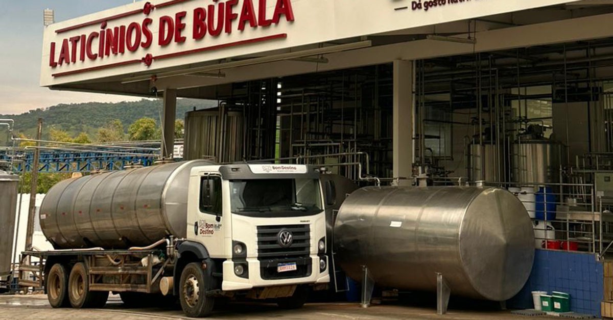 Mercado já tem primeiro leite em pó de búfala do País