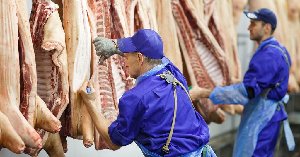 Produção de carnes