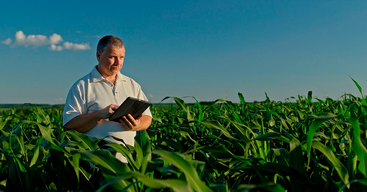 Agropecuária é bem-vista por 80% dos mineiros