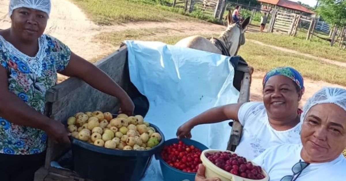 Com apoio da Emater-MG, comunidade do Norte de Minas aposta em produção de polpas de frutas do Cerrado