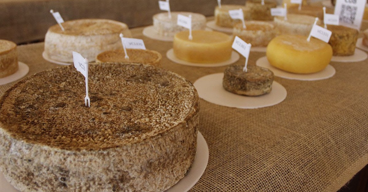 Bambuí sedia 21º Concurso Regional do Queijo Minas Artesanal da região da Canastra